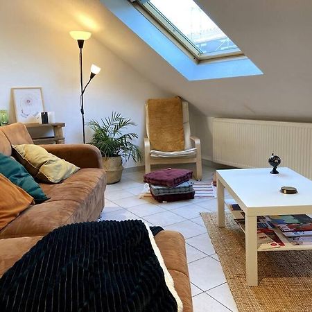 10Min Bus Strasbourg Centre-Parking Prive-Wifi-Tv Daire Bischheim Dış mekan fotoğraf