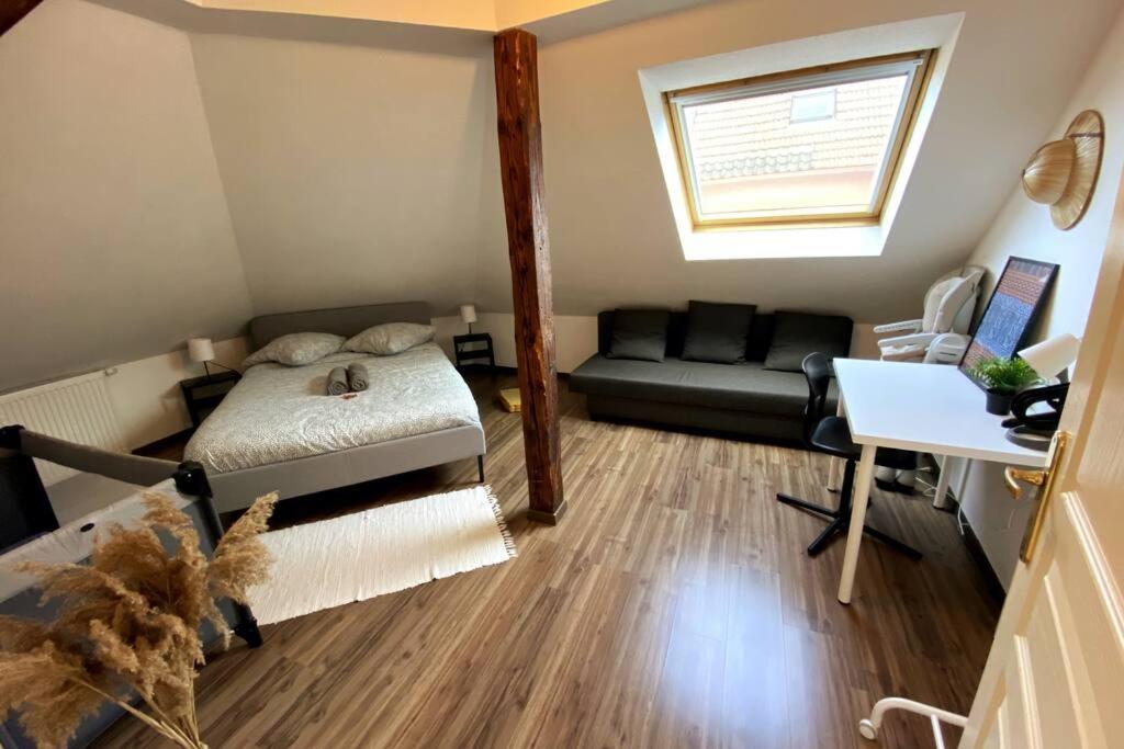 10Min Bus Strasbourg Centre-Parking Prive-Wifi-Tv Daire Bischheim Dış mekan fotoğraf
