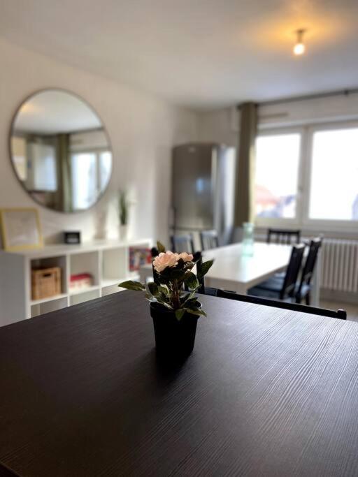 10Min Bus Strasbourg Centre-Parking Prive-Wifi-Tv Daire Bischheim Dış mekan fotoğraf